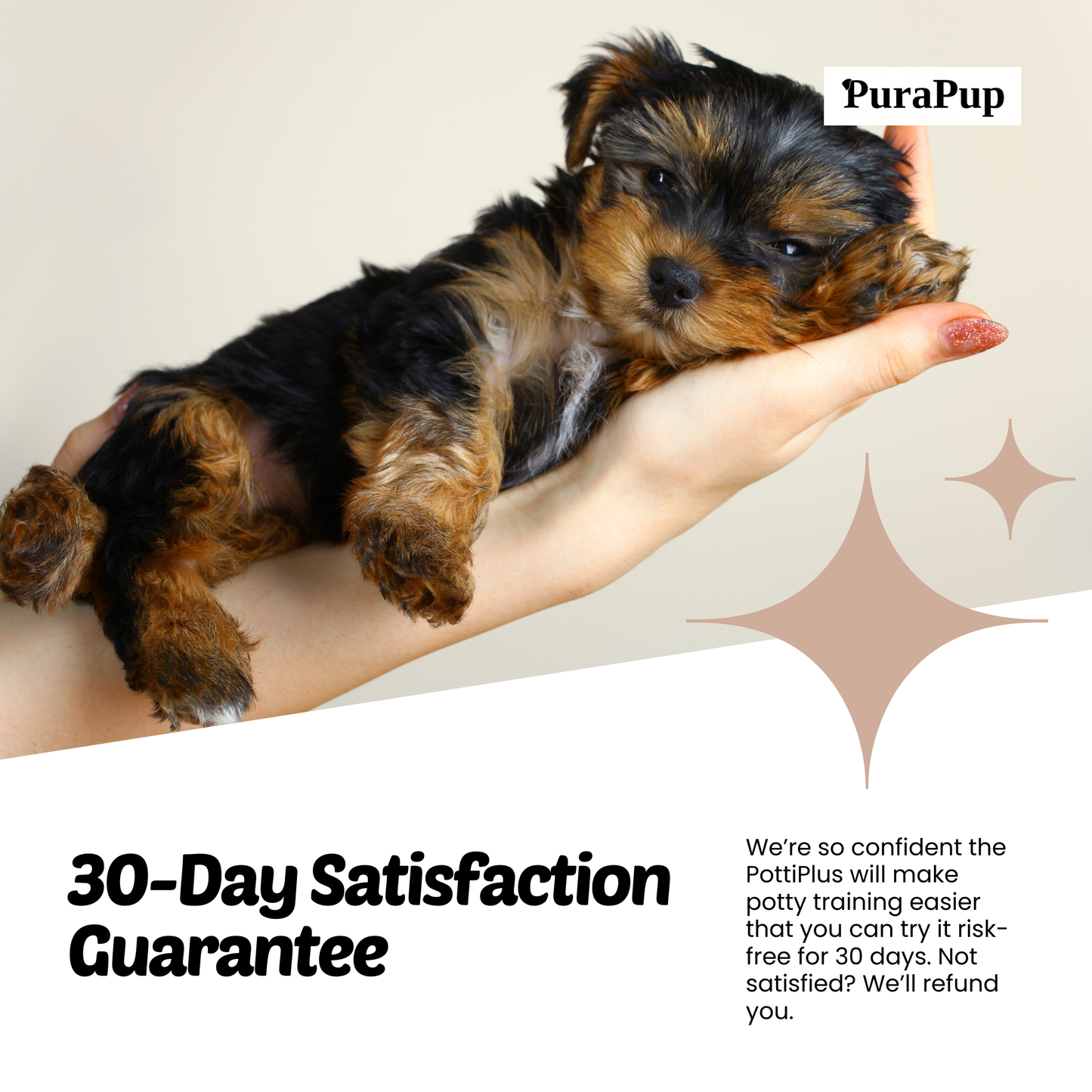 PottiPlus Floor Safe, No Mess Puppy Pad