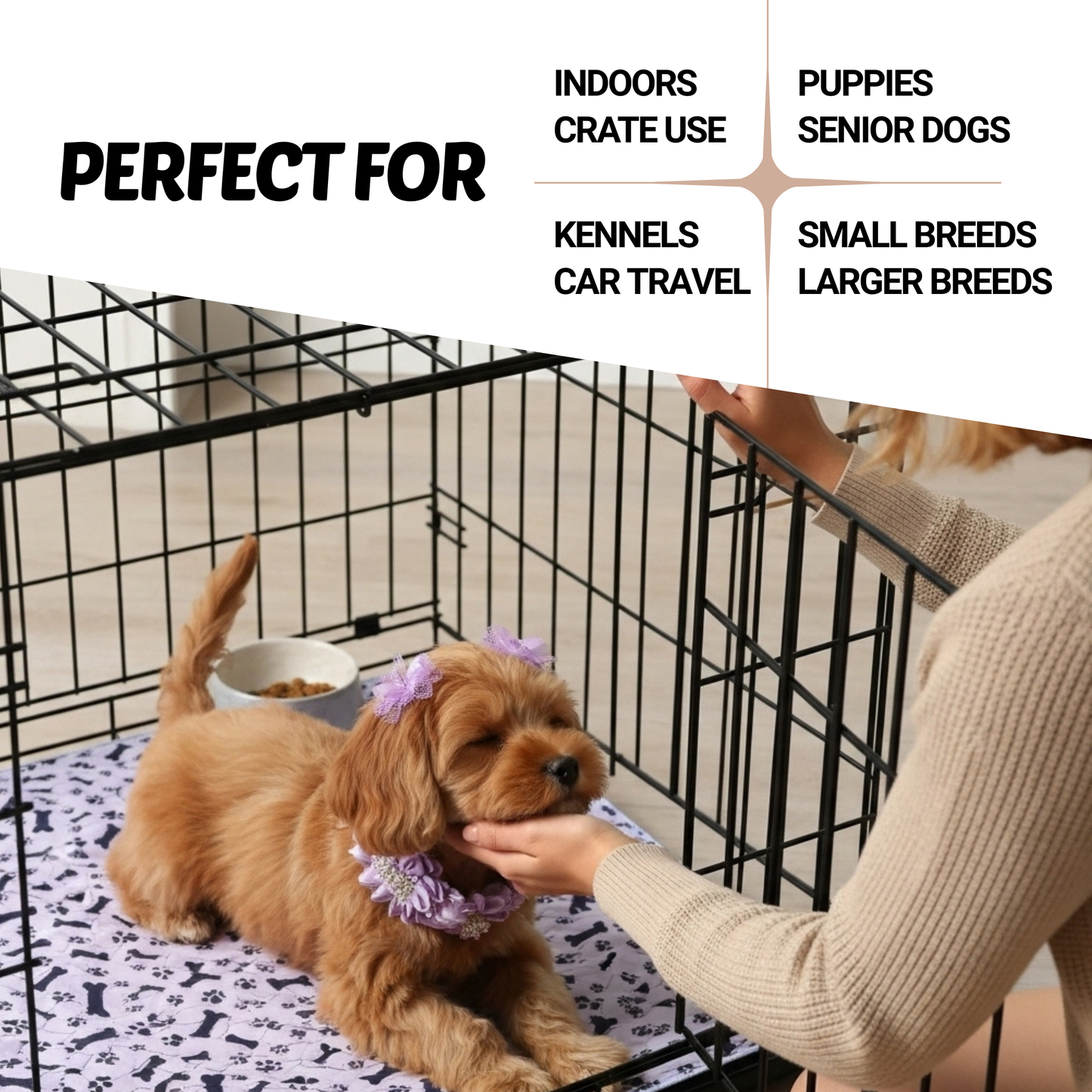 PottiPlus Floor Safe, No Mess Puppy Pad